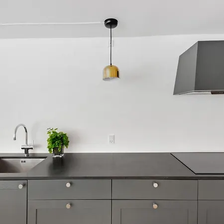 Sanders Regent 5 - Large With Terrace Right In Centre Of Copenhaga