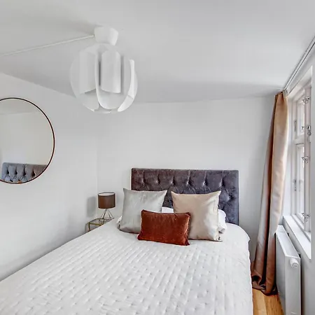 Sanders Regent 5 - Large With Terrace Right In Centre Of Copenhaga