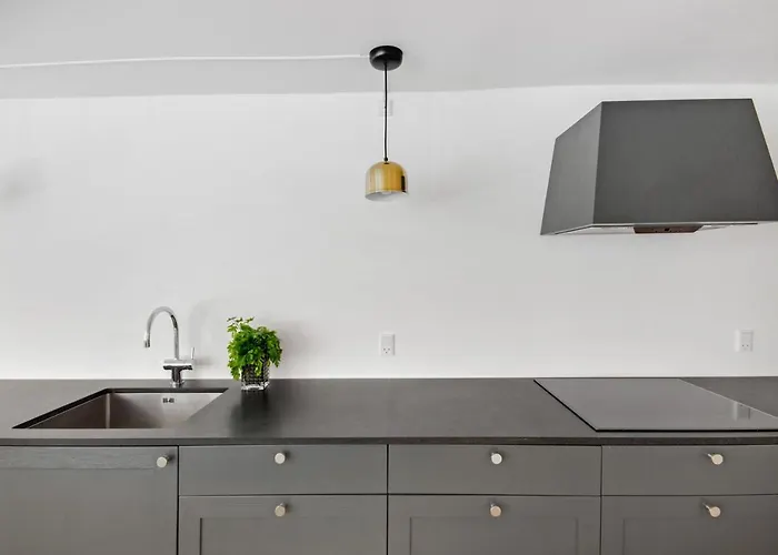 Regent 5 - Large With Terrace Right In Centre Of Copenhague